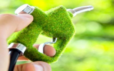 Έγκριση περιβαλλοντικών όρων για μονάδα βιοκαυσίμων-βιορευστών 1 MW στην Καστοριά