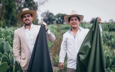 Μεξικανοί φτιάχνουν δέρμα Vegan από… κάκτους με φραγκόσυκο!