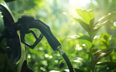 Ο ευρωπαϊκός τομέας βιοκαυσίμων κινδυνεύει από έλλειψη πρώτων υλών