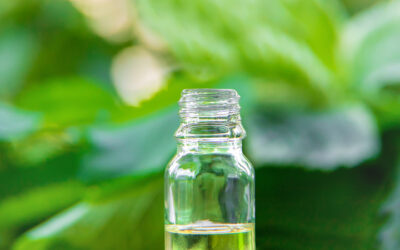 Οι «πράσινες» κόλλες γίνονται τάση: Έκθεση της Ceresana για την ευρωπαϊκή αγορά βιολογικής προέλευσης συγκολλητικών υλικών